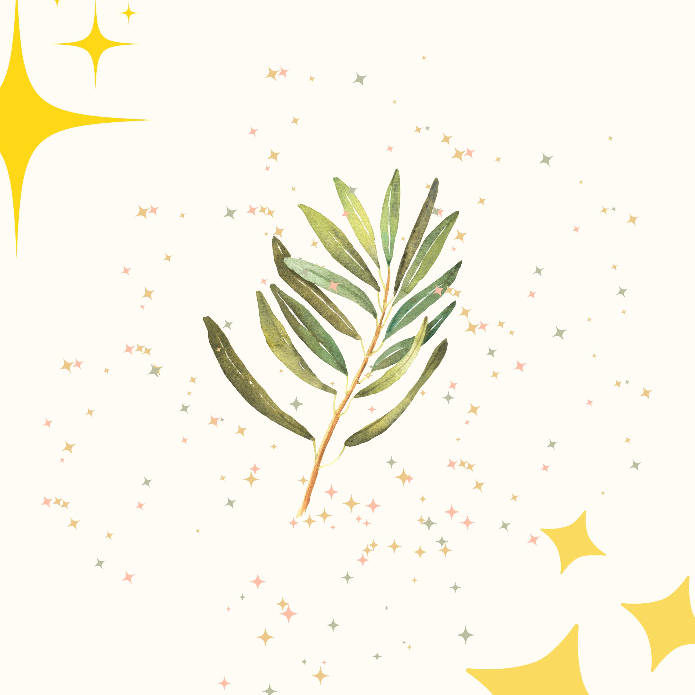Decorative image